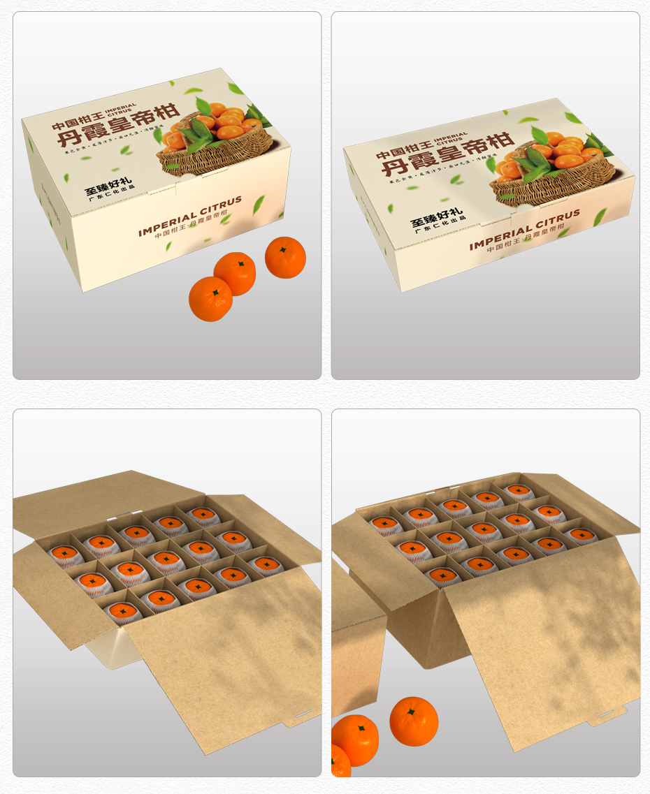 橙子水果娱乐软件盒子