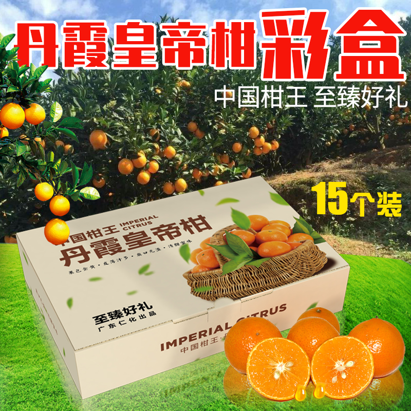 皇帝柑、橙子、橘子等水果娱乐软件彩箱