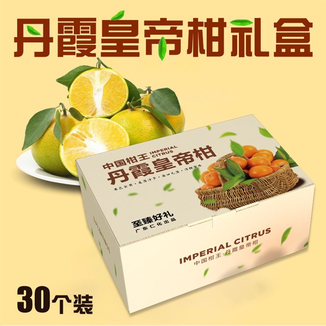 皇帝柑、橙子、橘子等水果娱乐软件彩箱