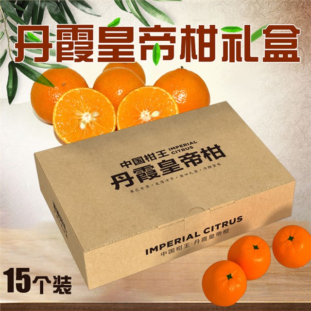 皇帝柑、橙子、橘子等水果娱乐软件彩箱