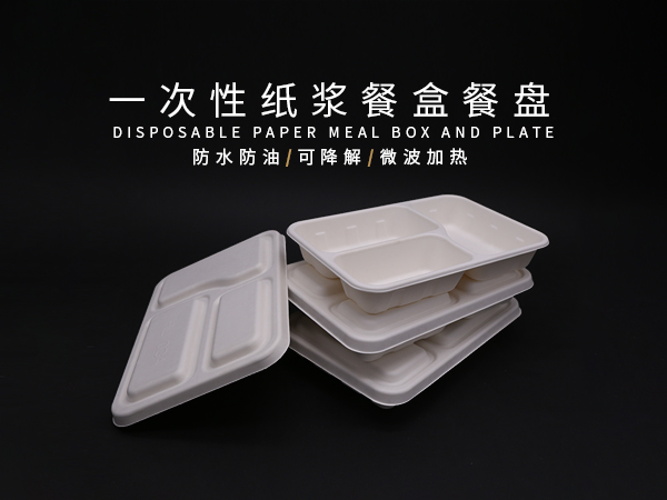 一次性外卖打包快餐具饭盒娱乐app平台有哪些可以娱乐app下载