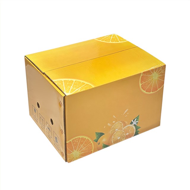 橙子娱乐软件注册免费送柑橘娱乐软件彩箱娱乐app平台有哪些可以娱乐app下载