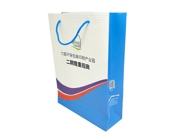 高档手提袋可以娱乐app下载娱网游戏app娱乐软件广告手提纸袋