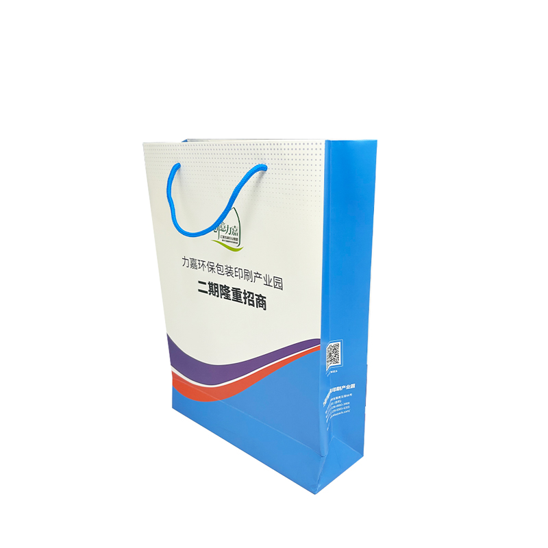 高档手提袋可以娱乐app下载娱网游戏app娱乐软件广告手提纸袋