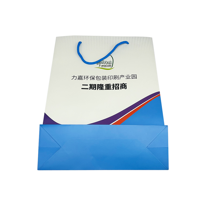 高档手提袋可以娱乐app下载娱网游戏app娱乐软件广告手提纸袋