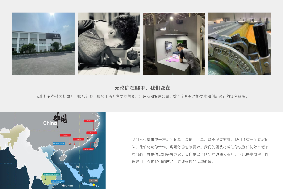 手机娱乐app软件排行榜娱乐软件海外越南工厂简介