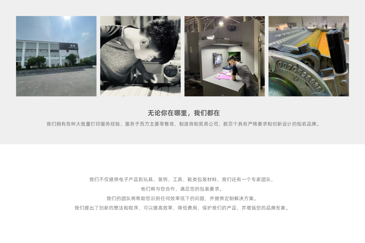 越南工厂简介