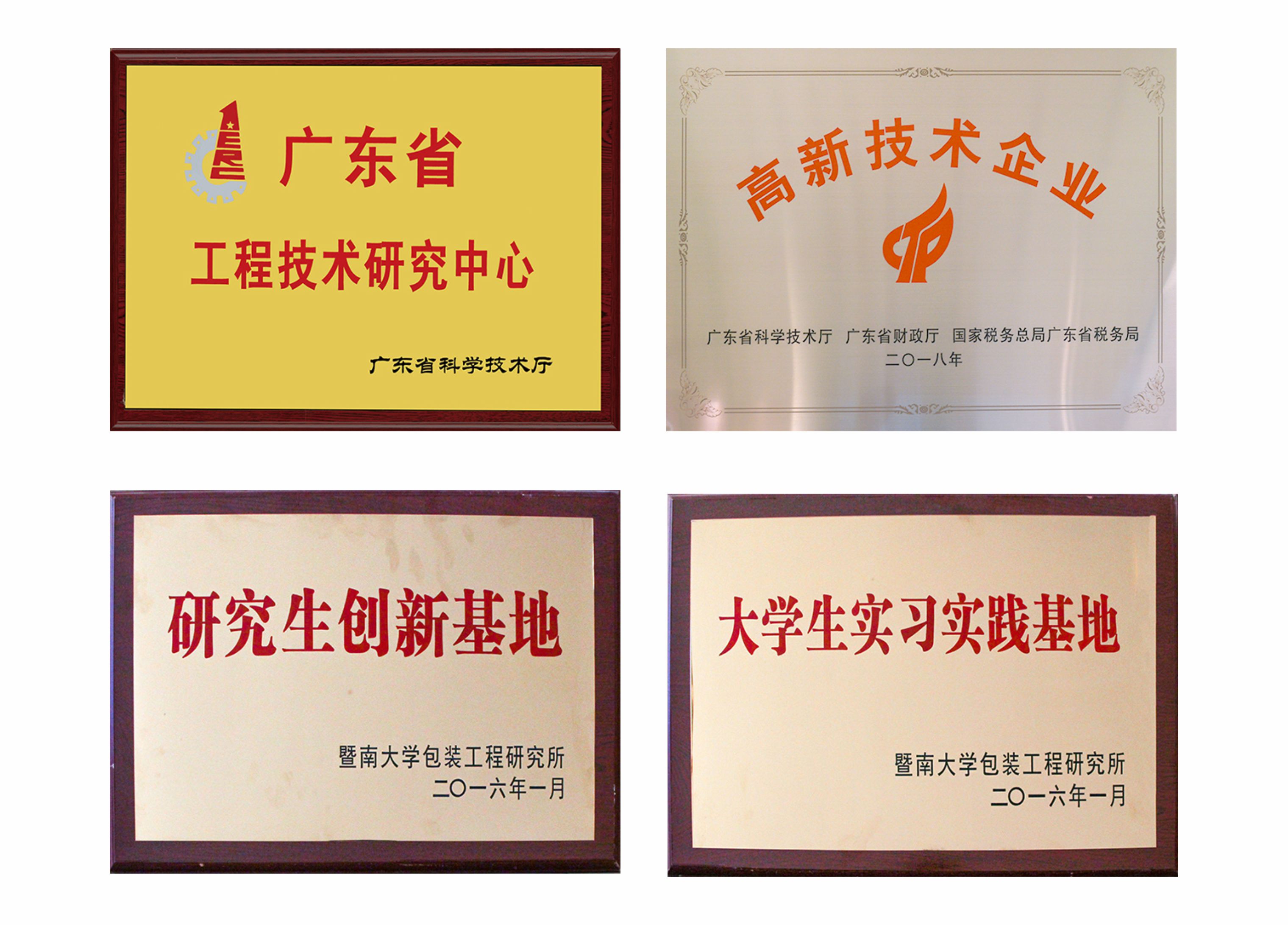 手机娱乐app软件排行榜-集团荣誉
